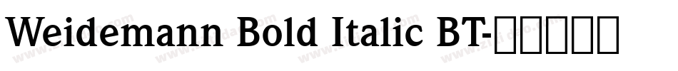Weidemann Bold Italic BT字体转换